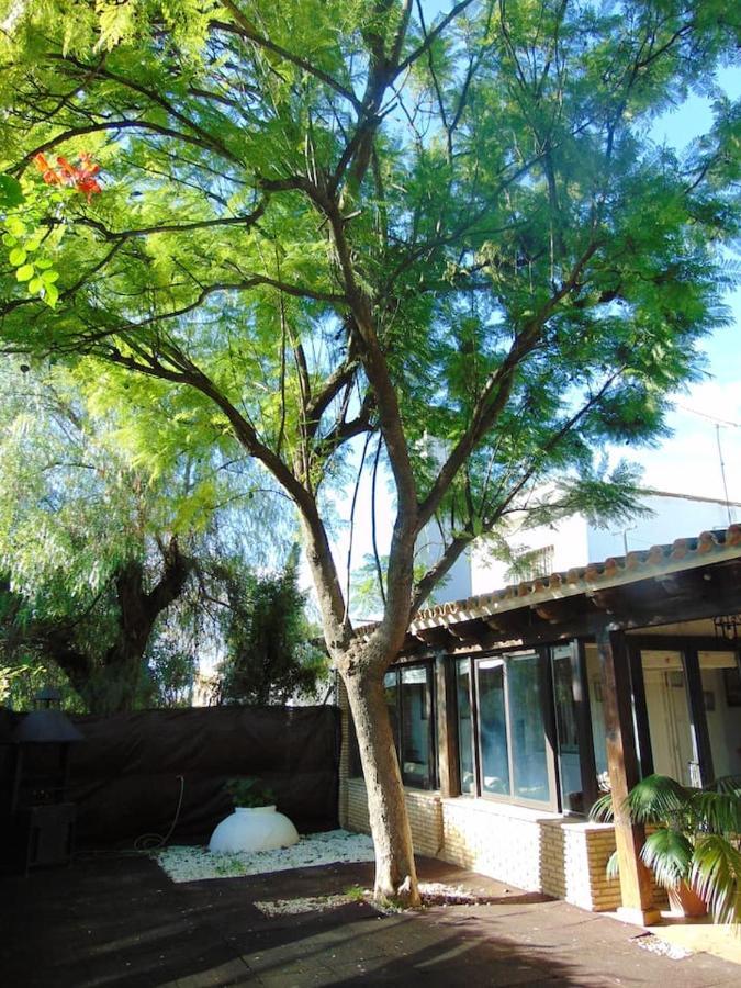 4 Bedrooms House With Enclosed Garden And Wifi At Sanlucar La Mayor
